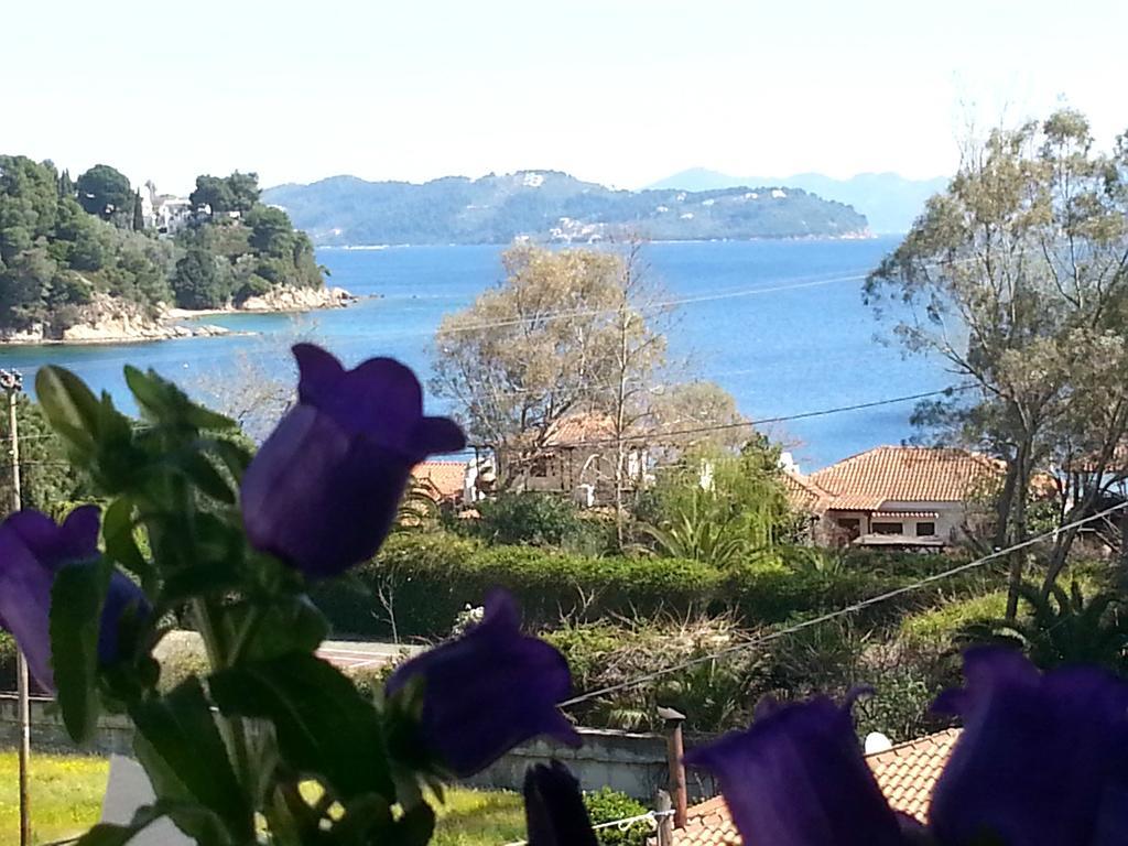 Tzaneria Apartments Skiathos Kanapitsa  Exterior foto